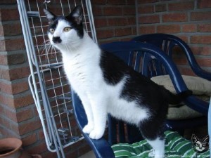 kitler2129