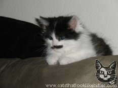 kitler4090