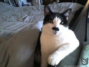 kitler4094